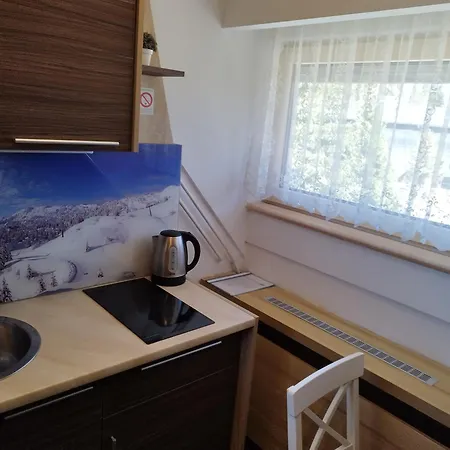 Dunja Konaci Копаоник