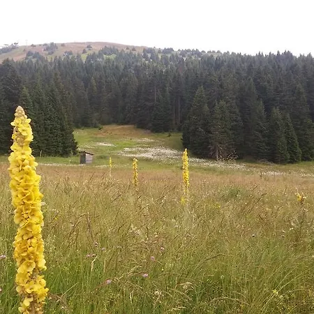 Dunja Konaci Апартаменты