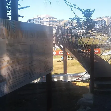 Dunja Konaci Kopaonik