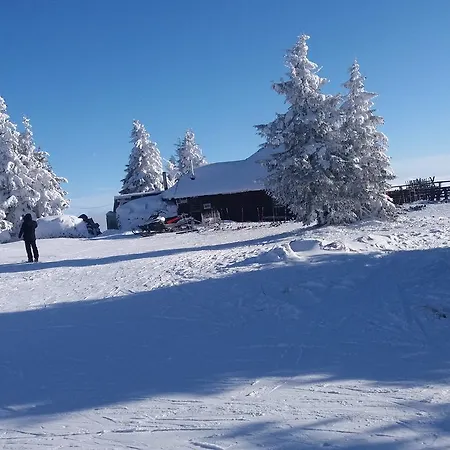 Dunja Konaci Kopaonik